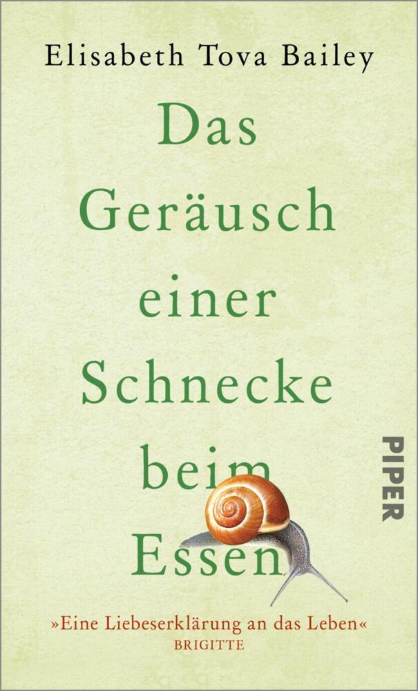 Das Geräusch einer Schnecke beim Essen main product photo