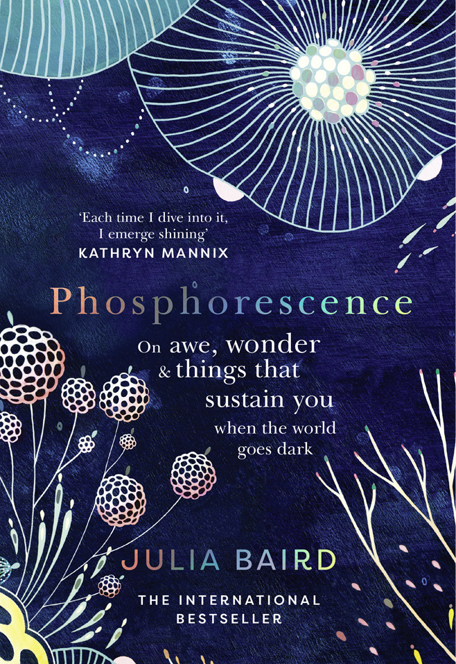 Phosphorescence main product photo
