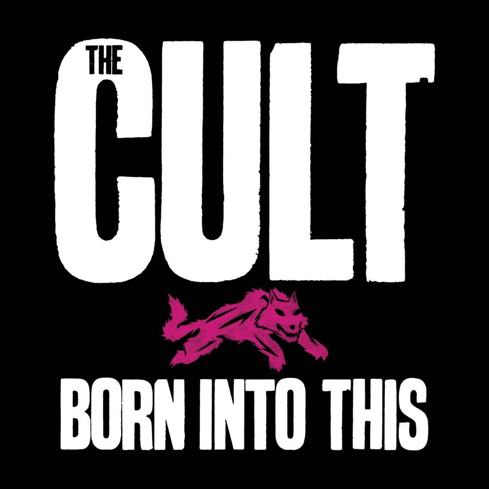 Born Into This, 2 Audio-CDs (Savage Edition) main product photo