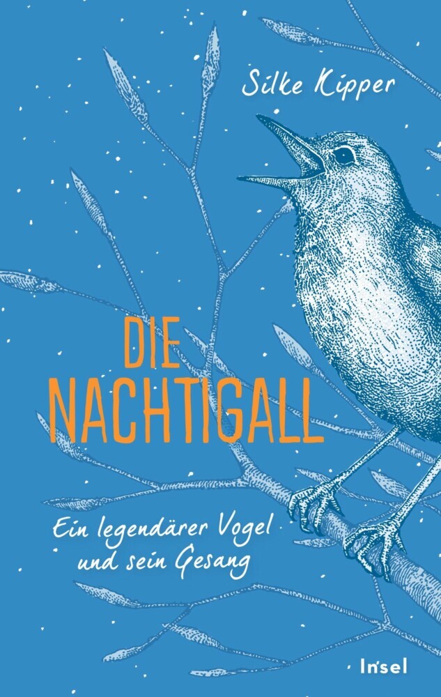 Die Nachtigall main product photo