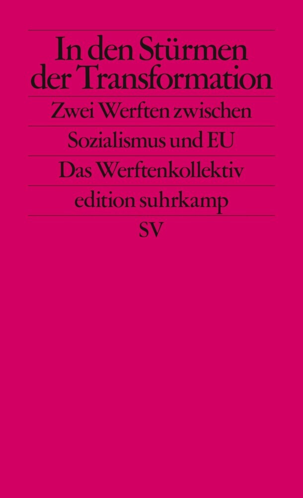 In den Stürmen der Transformation main product photo