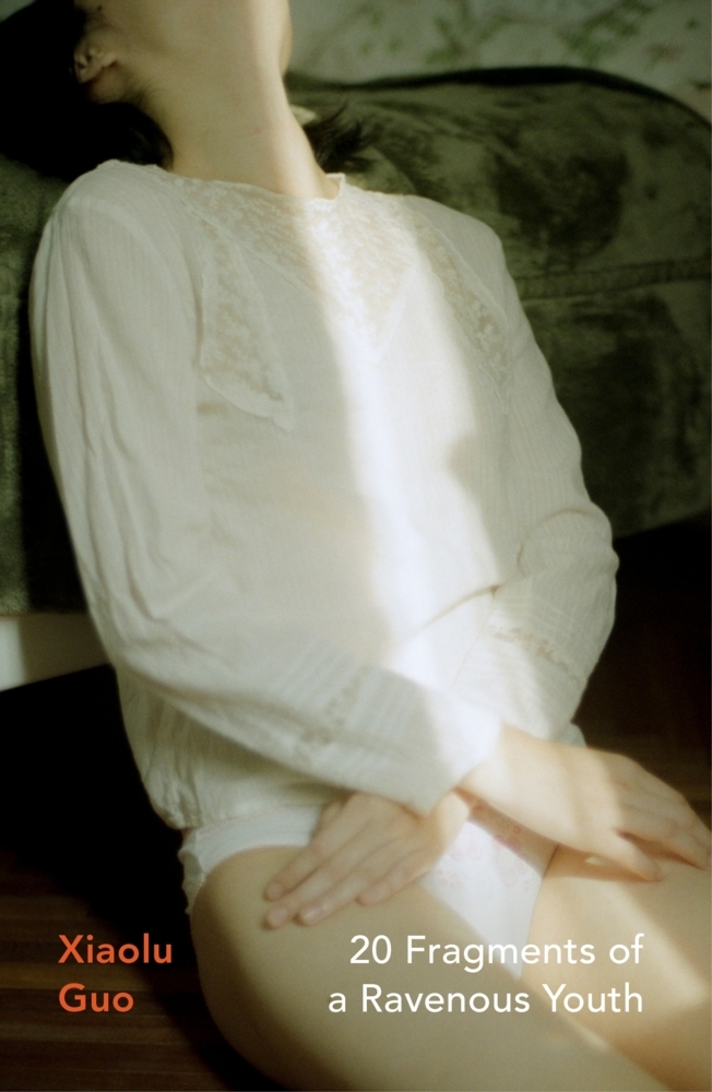 20 Fragments of a Ravenous Youth main product photo