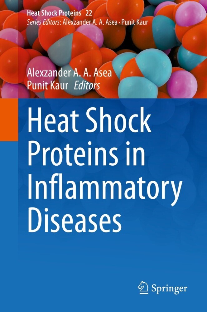 Heat Shock Proteins in Inflammatory Diseases main product photo