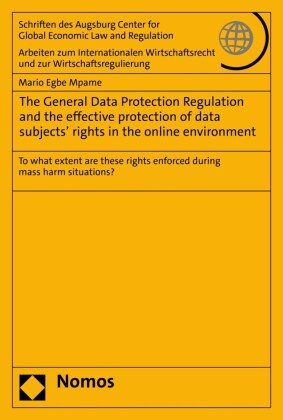 The General Data Protection Regulation and the effective protection of data subjects' rights in the online environment