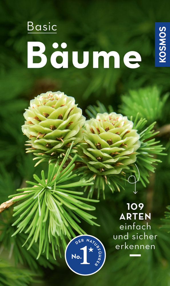BASIC Bäume main product photo