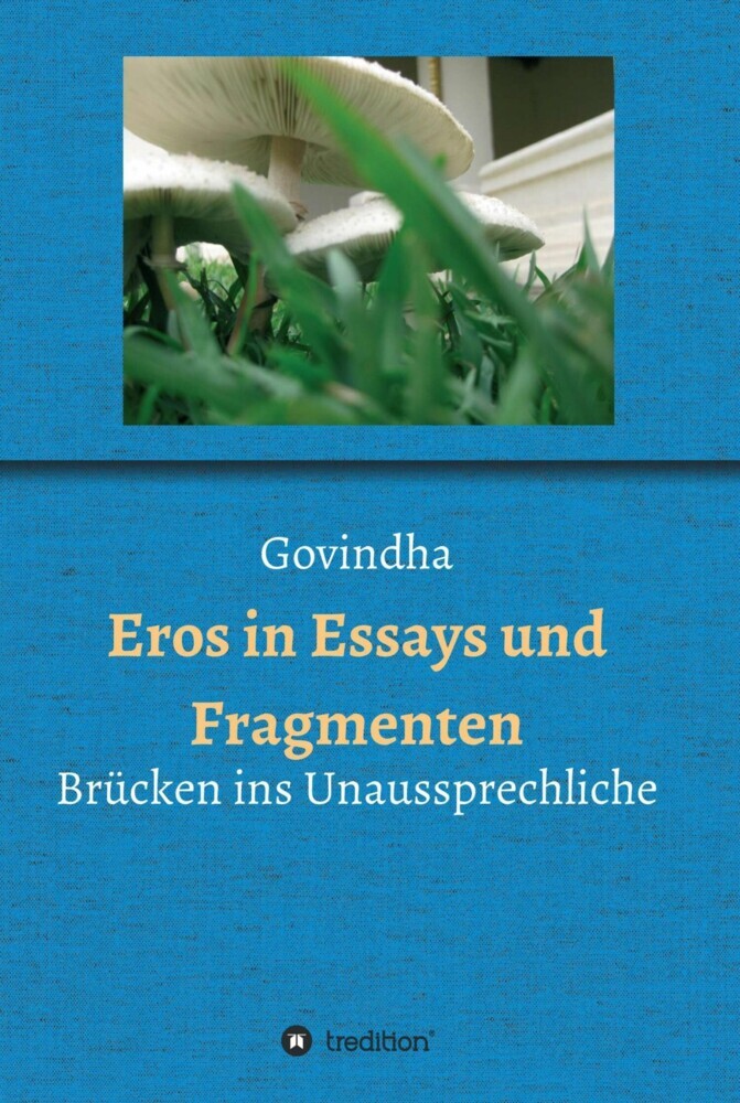 Eros in Essays und Fragmenten main product photo