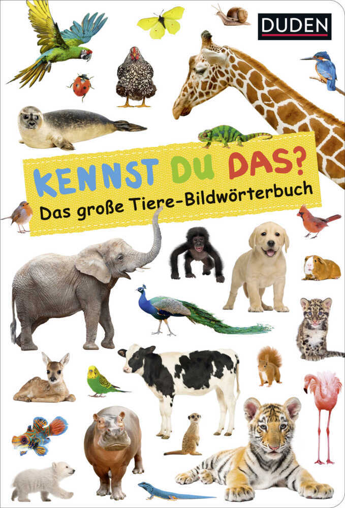 Duden 18+: Kennst du das? Das große Tiere-Bildwörterbuch main product photo