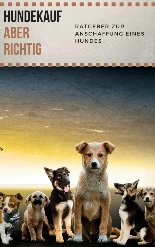 Hundekauf ABER RICHTIG - Ratgeber zur Anschaffung eines Hundes main product photo