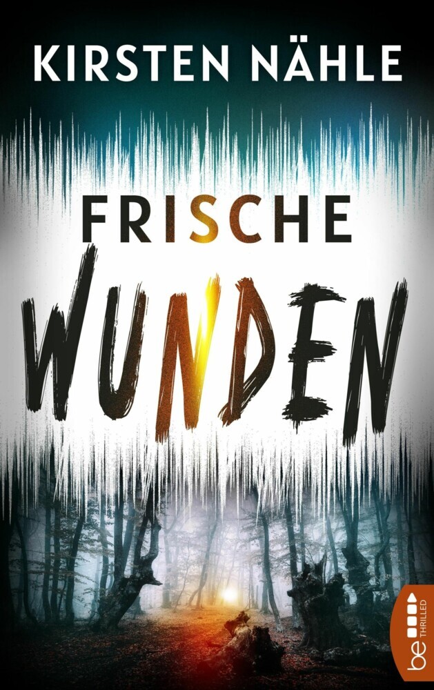 Frische Wunden main product photo