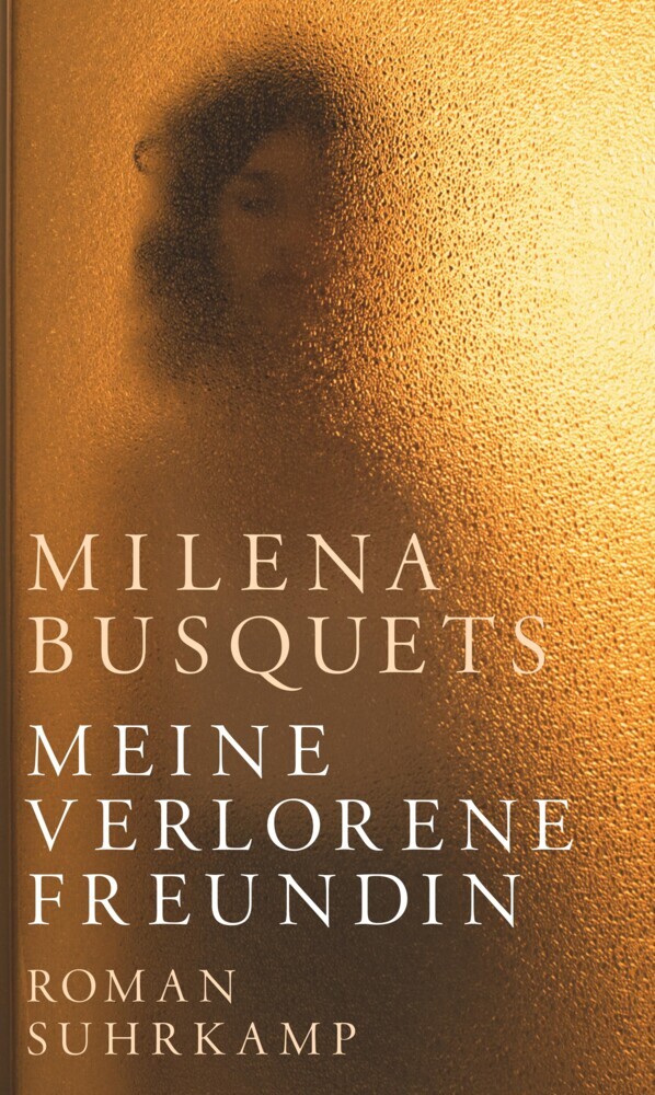 Meine verlorene Freundin main product photo