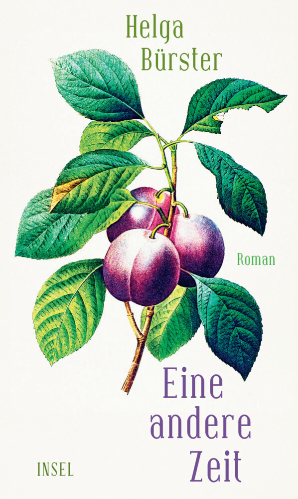 Eine andere Zeit main product photo