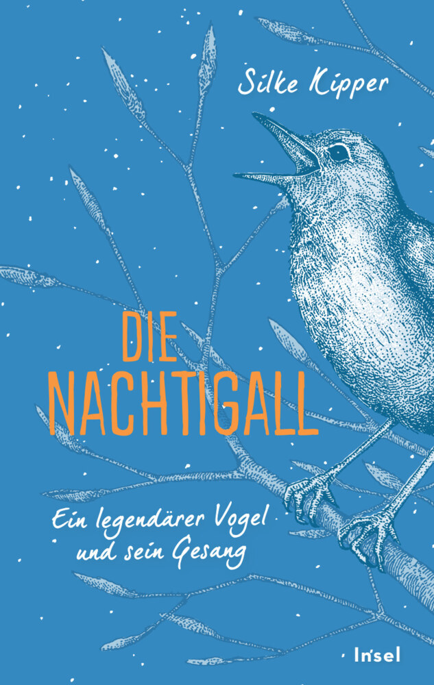 Die Nachtigall main product photo