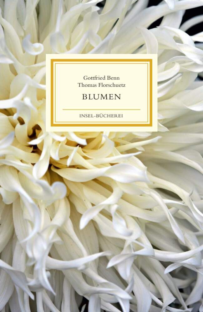 Blumen main product photo