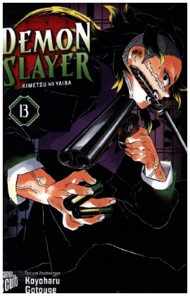Demon Slayer 13