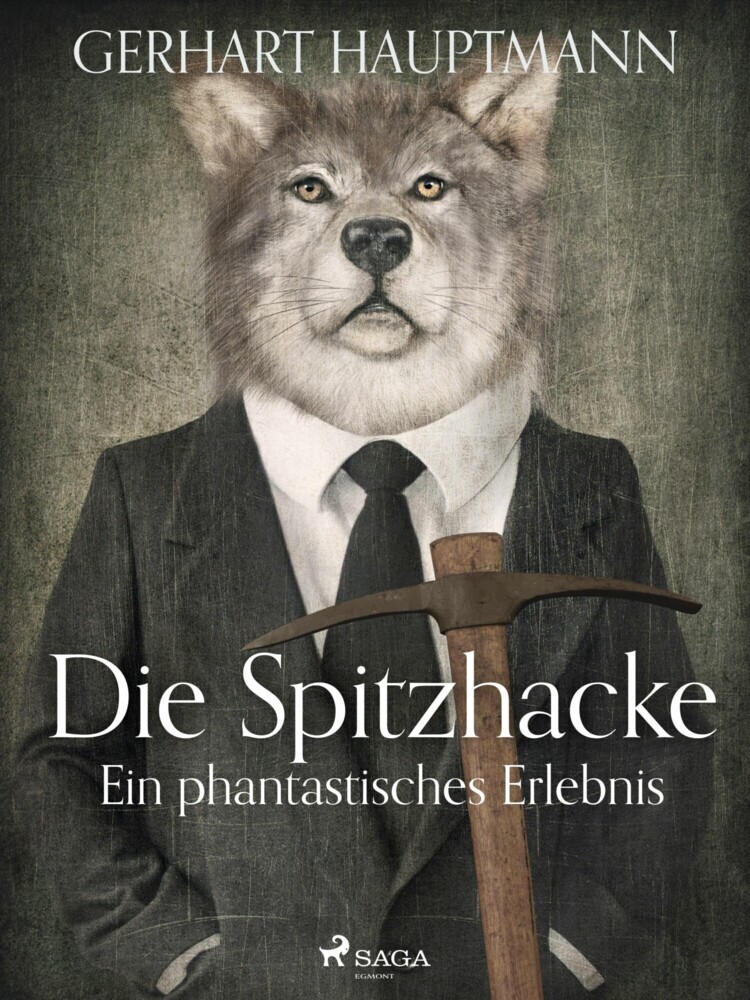 Die Spitzhacke - Ein phantastisches Erlebnis main product photo