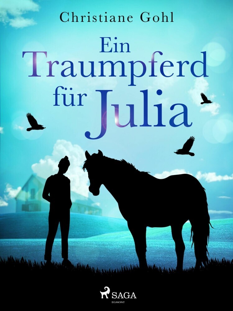 Ein Traumpferd für Julia main product photo