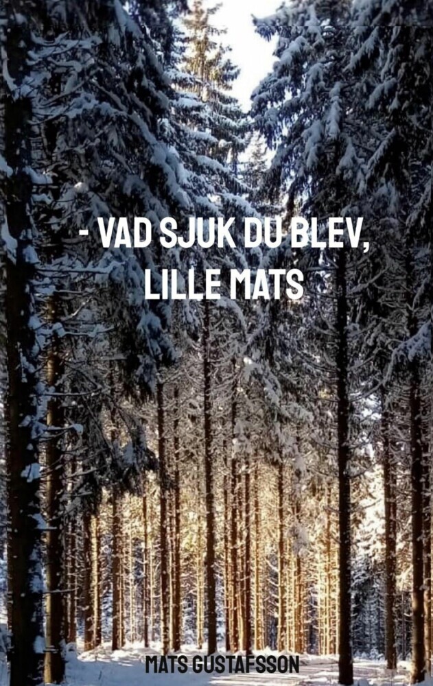 -VAD SJUK DU BLEV, LILLE MATS main product photo