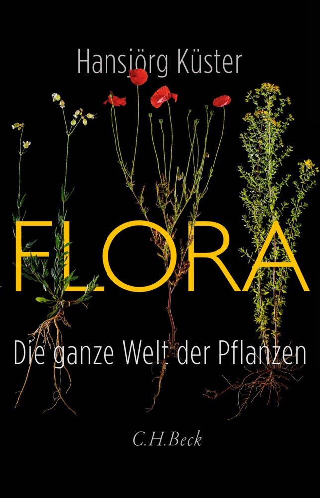 Flora main product photo