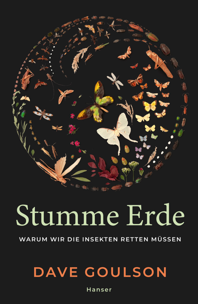 Stumme Erde main product photo