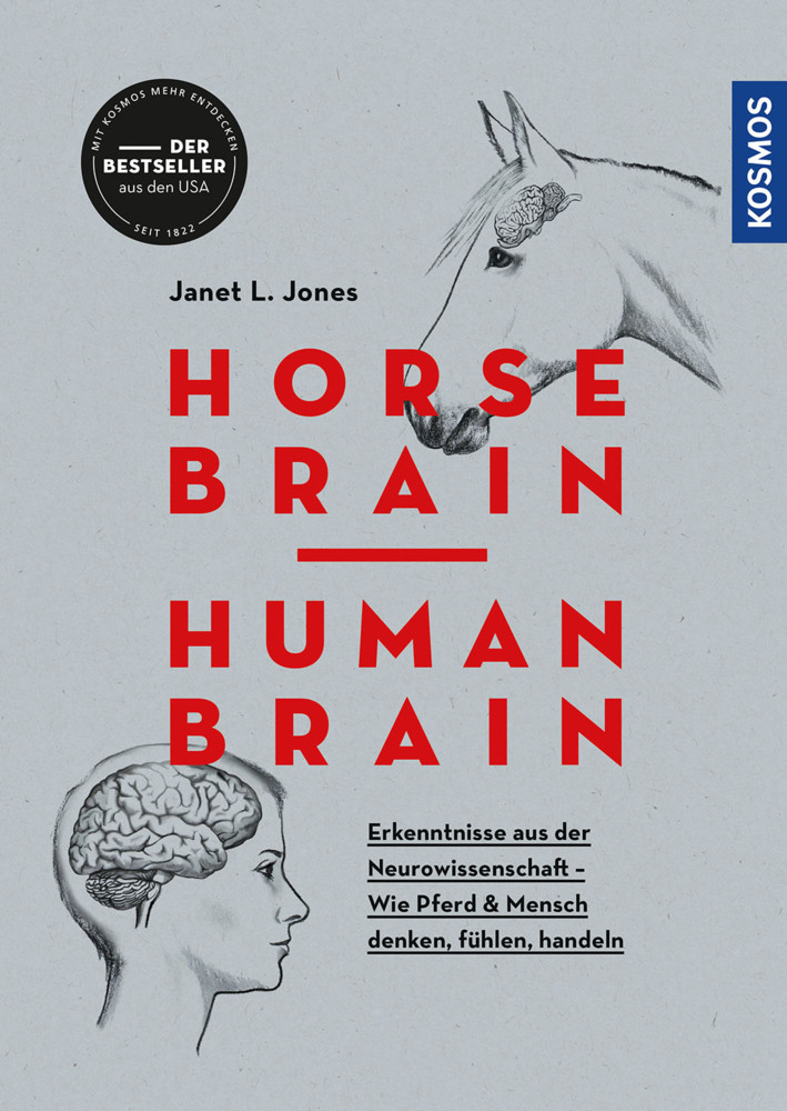 Horse Brain, Human Brain main product photo