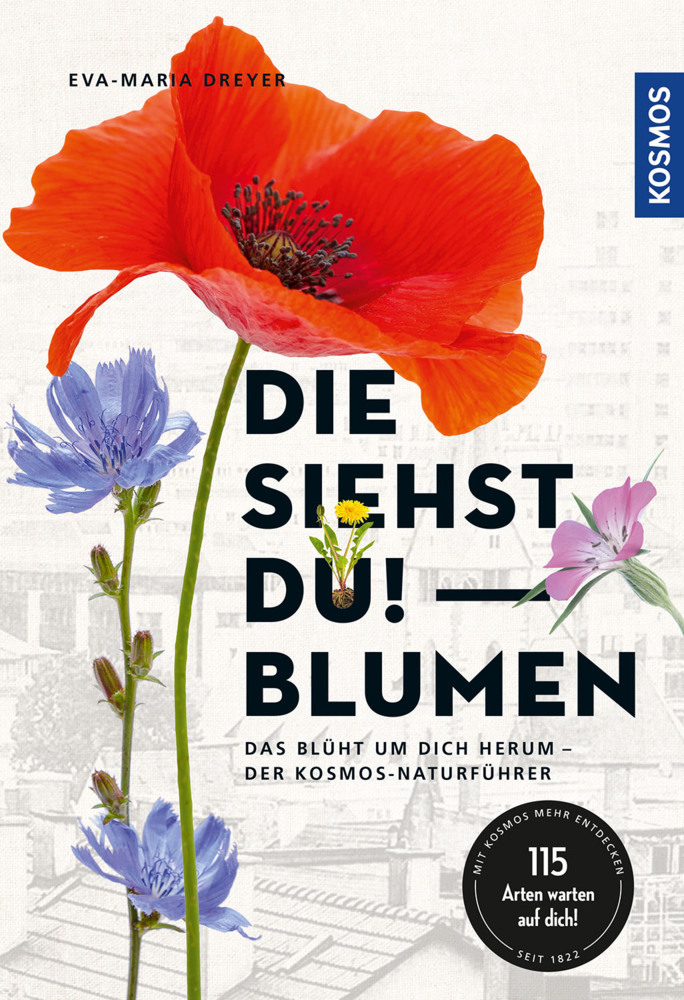 Die siehst du - Blumen main product photo