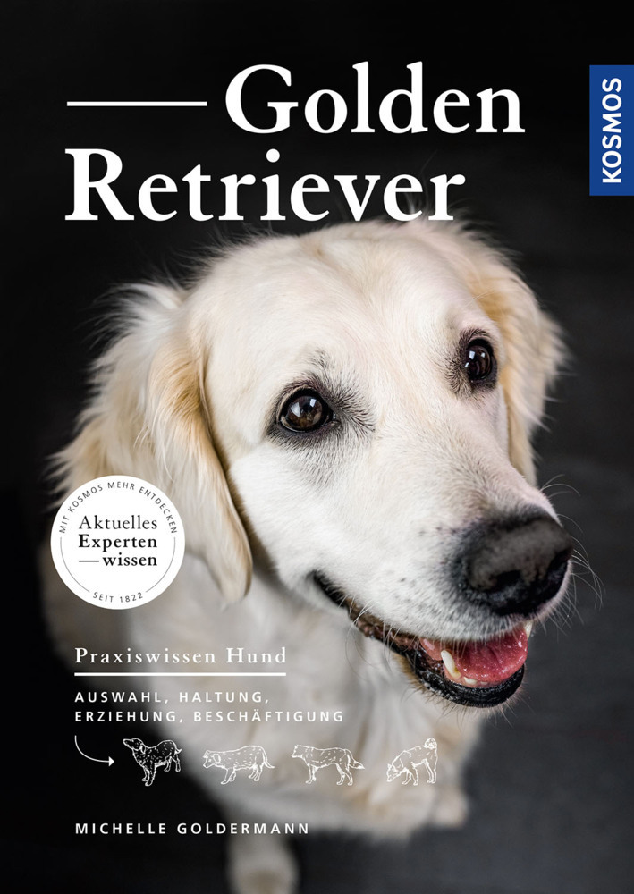 Golden Retriever main product photo