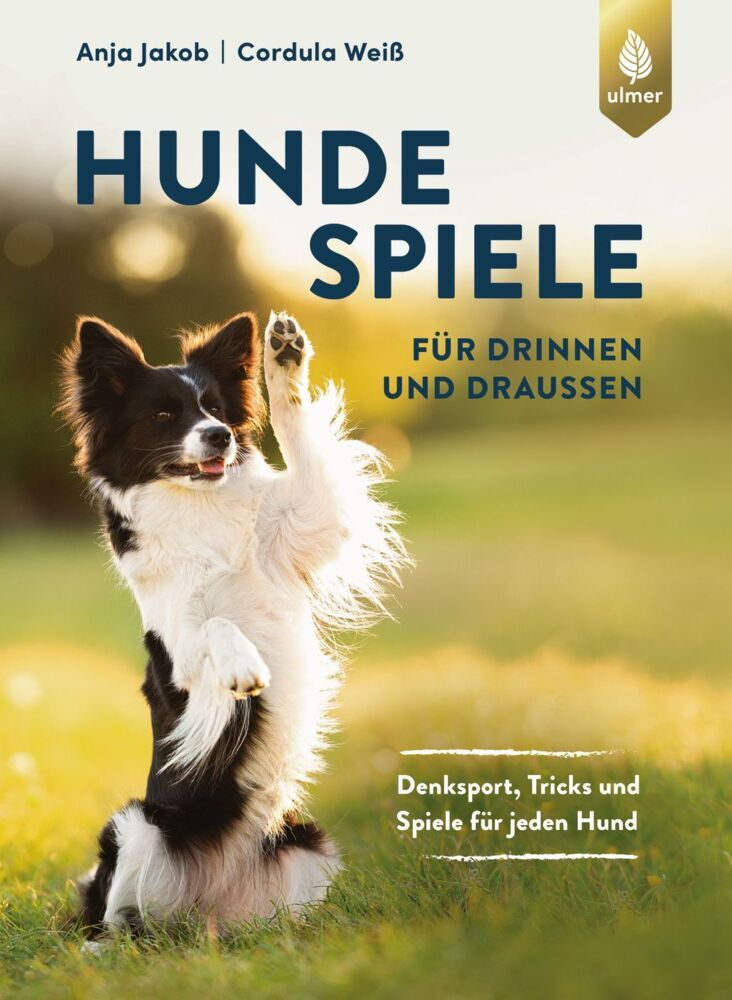 Hundespiele für drinnen und draußen main product photo