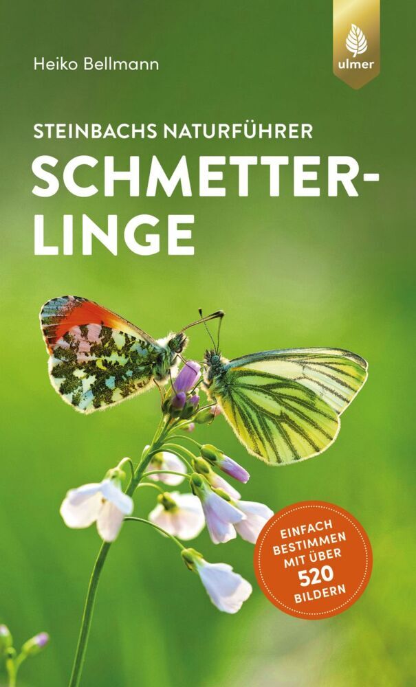 Steinbachs Naturführer Schmetterlinge main product photo