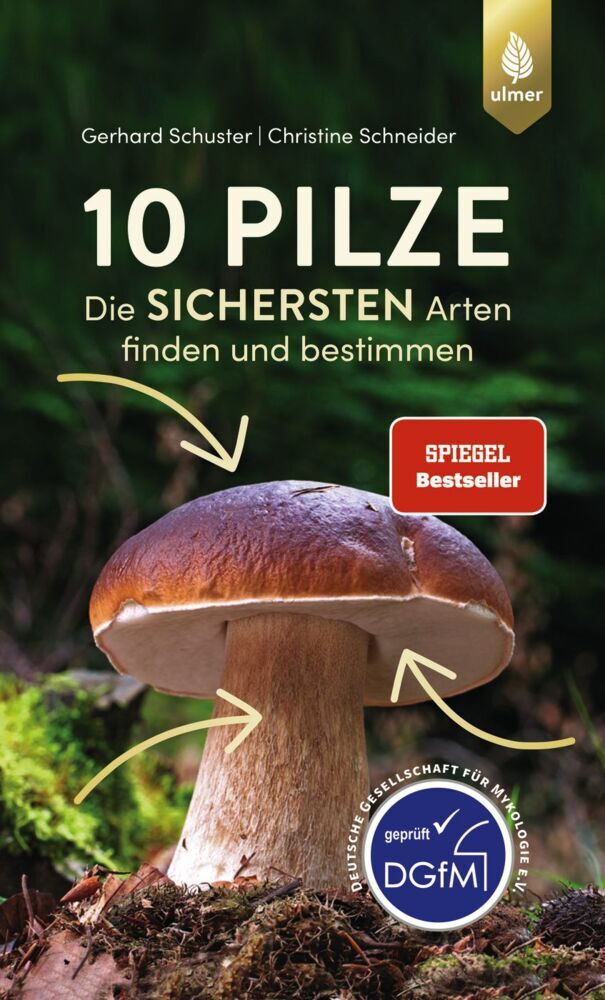 10 Pilze main product photo