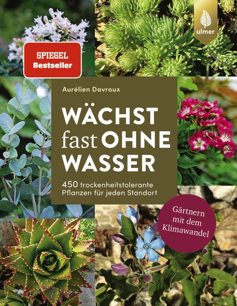 Wächst fast ohne Wasser main product photo