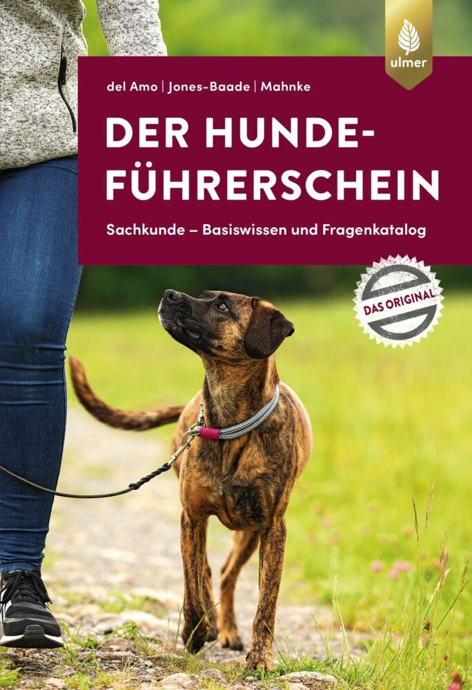 Der Hundeführerschein main product photo