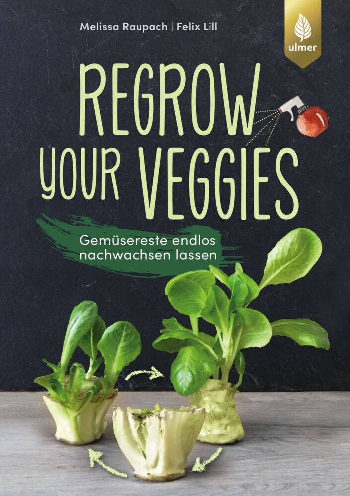 Regrow your veggies main product photo