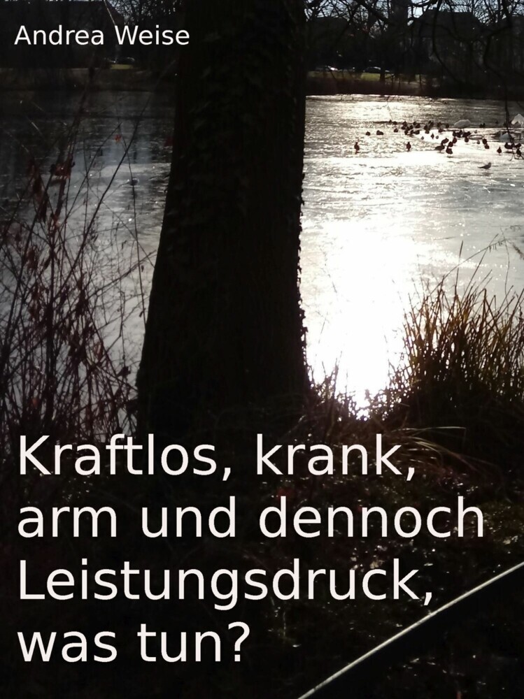 Kraftlos, krank, arm und dennoch Leistungsdruck, was tun? main product photo