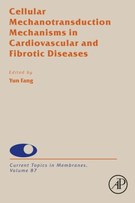 Cellular Mechanotransduction Mechanisms in Cardiovascular and Fibrotic Diseases