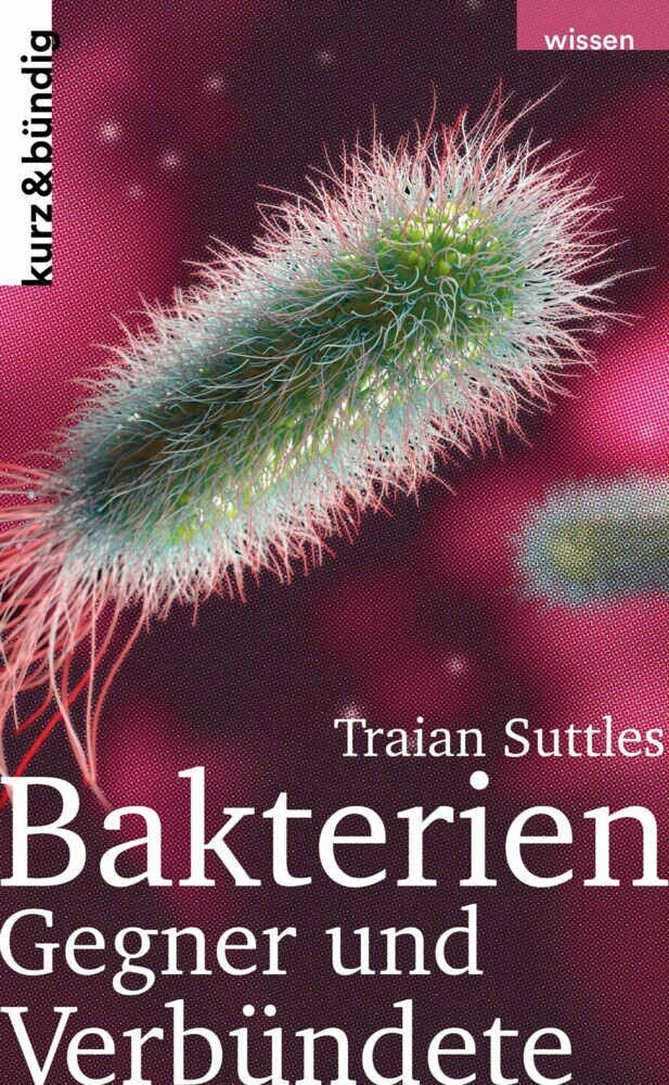 Bakterien main product photo