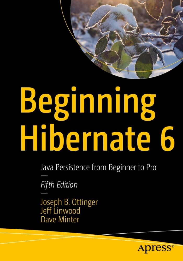 Beginning Hibernate 6 main product photo