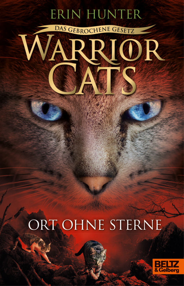 Warrior Cats - Das gebrochene Gesetz. Ort ohne Sterne main product photo