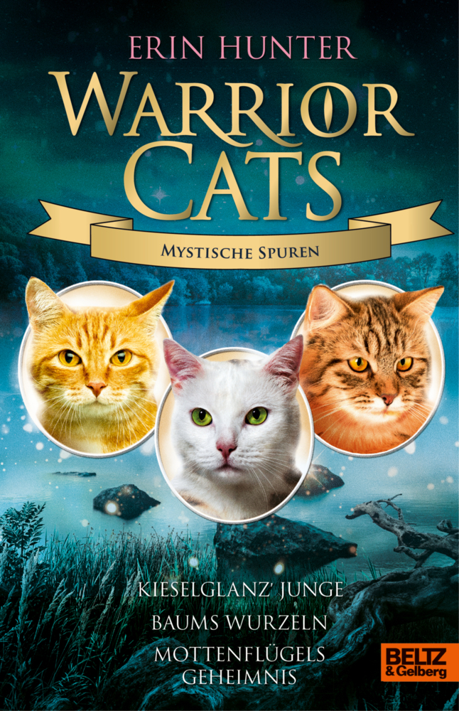 Warrior Cats - Mystische Spuren main product photo