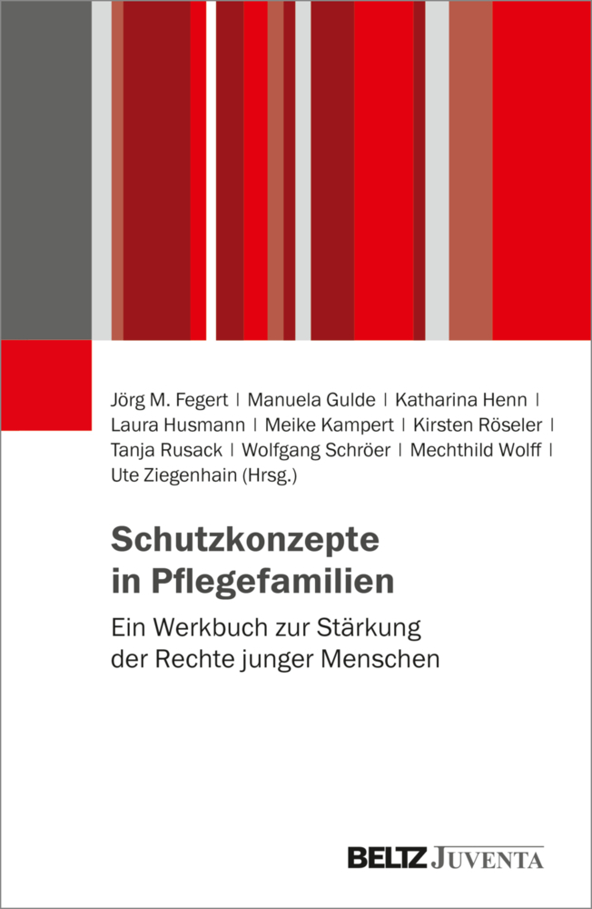 Schutzkonzepte in Pflegefamilien main product photo