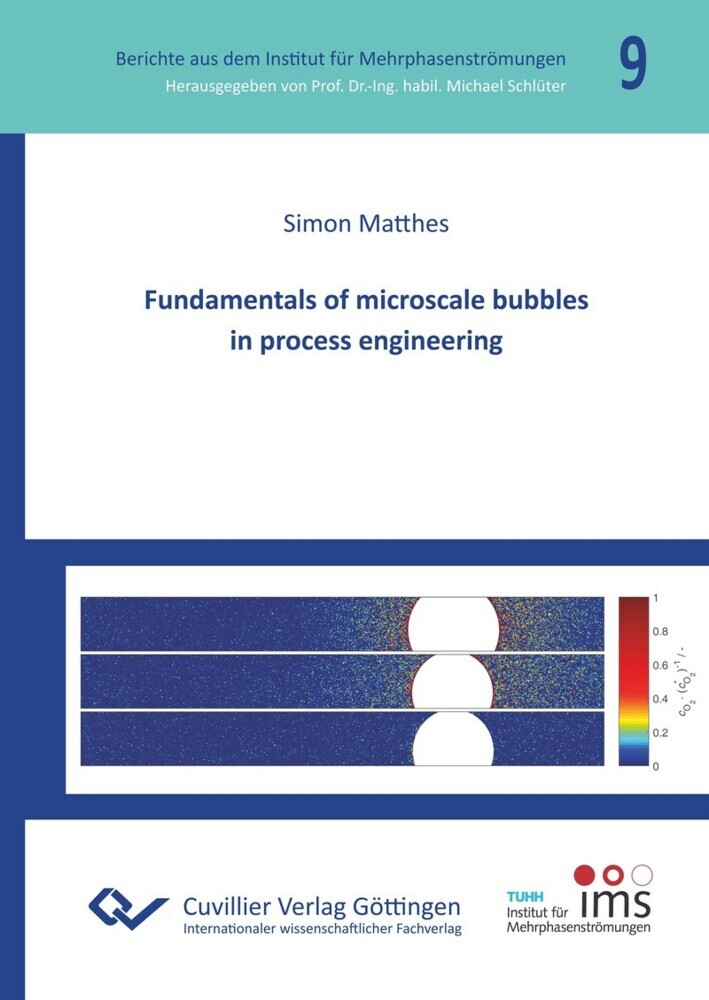 Fundamentals of microscale bubbles in process engineering main product photo