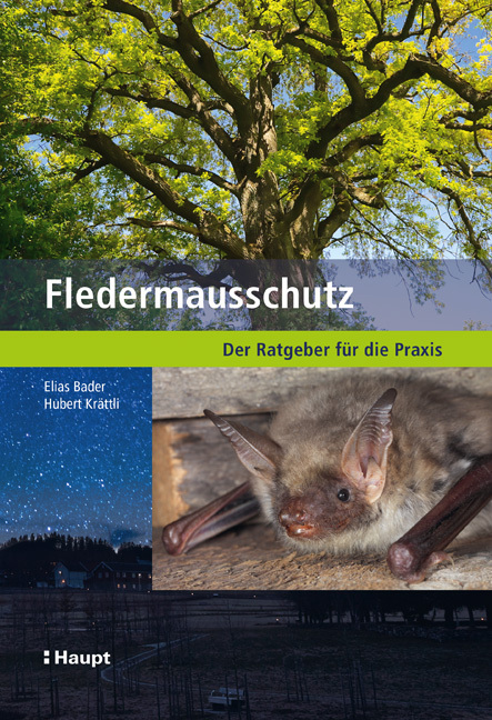 Fledermausschutz main product photo