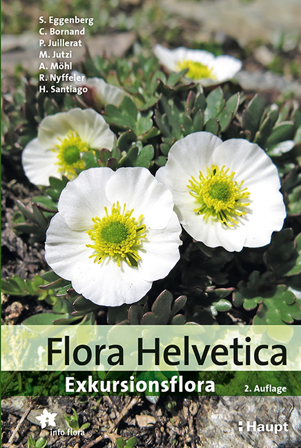 Flora Helvetica - Exkursionsflora main product photo