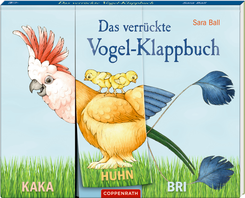 Das verrückte Vogel-Klappbuch main product photo