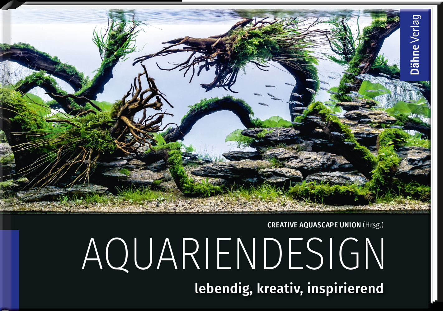 Aquariendesign main product photo
