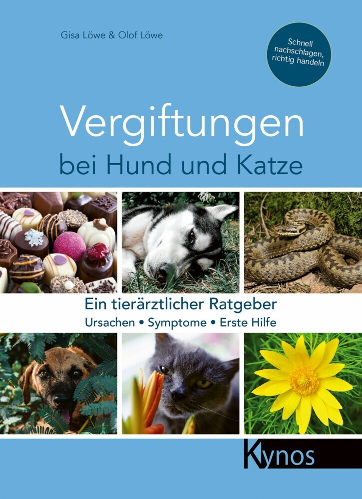 Vergiftungen bei Hund und Katze main product photo