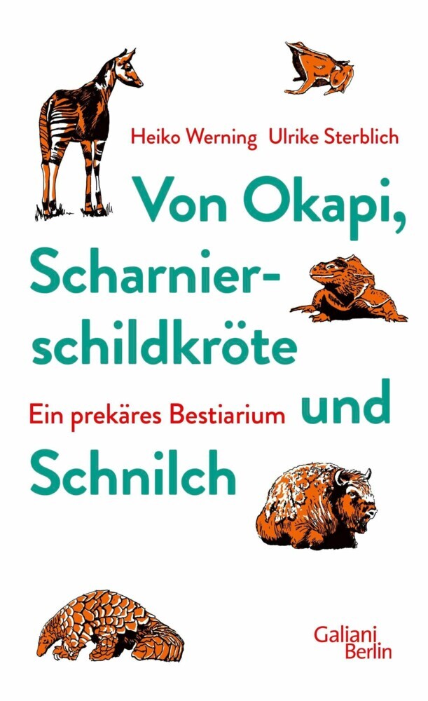 Von Okapi, Scharnierschildkröte und Schnilch main product photo