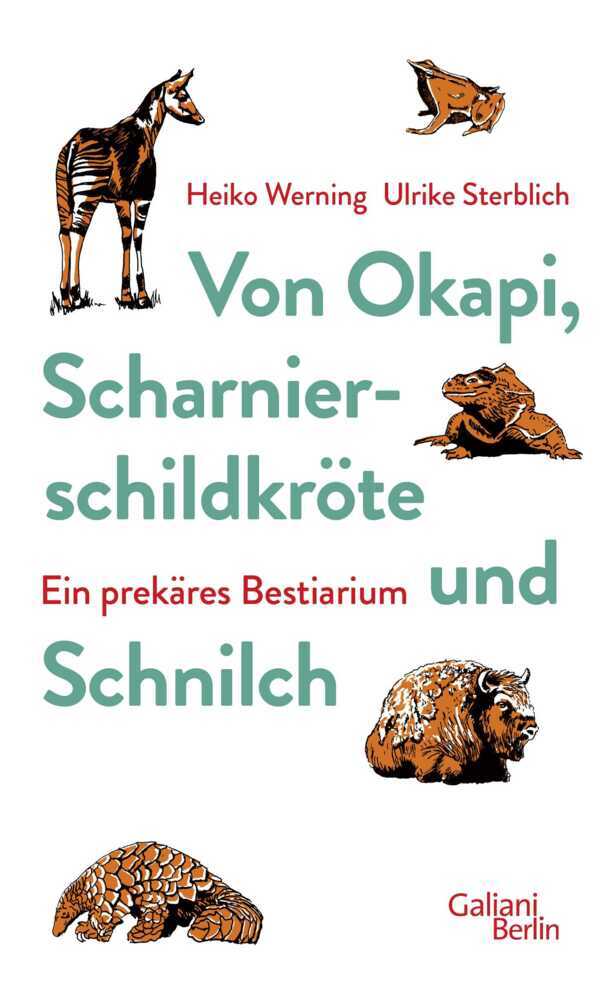 Von Okapi, Scharnierschildkröte und Schnilch main product photo