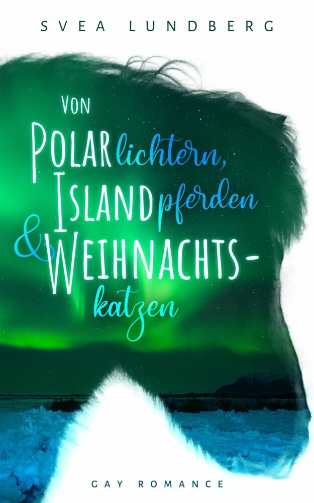 Von Polarlichtern, Islandpferden und Weihnachtskatzen main product photo