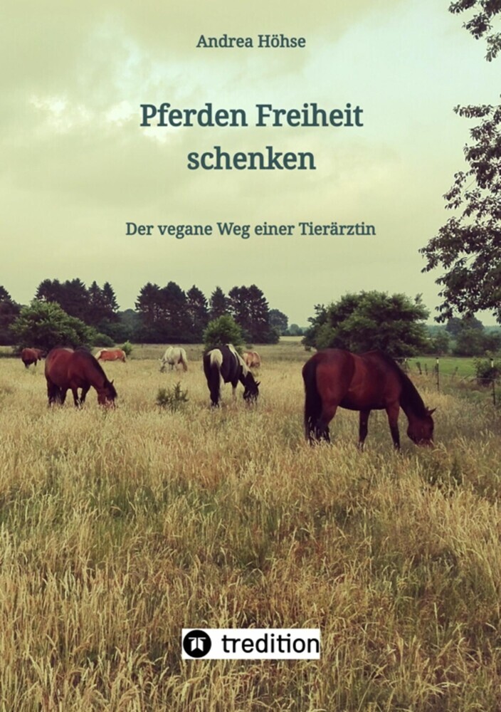 Pferden Freiheit schenken main product photo