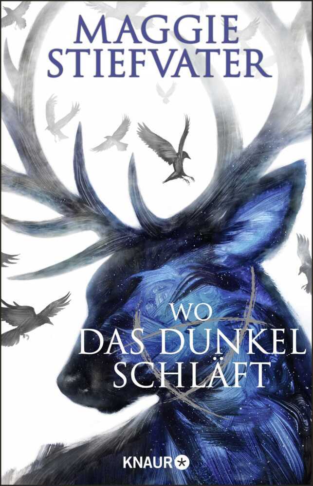 Wo das Dunkel schläft main product photo